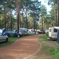 Camping emplacement forestier jusqu'à 6 m