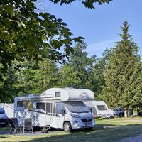 Stellplätze des Campingplatz am Drewensee - Platzgröße XL (130 qm bis 180 qm)